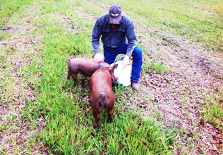 Mark Fortune, owner of Big Creek Farm