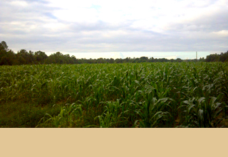 Mark Fortune, owner of Big Creek Farm