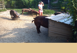 Mark Fortune, owner of Big Creek Farm