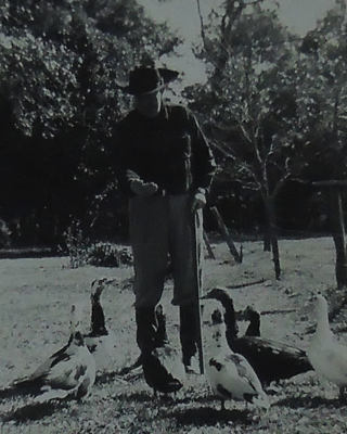 M.A. Fortune and his ducks