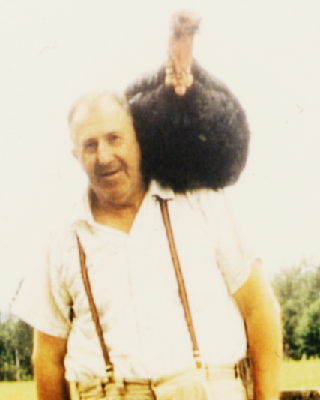 M.A. Fortune and his ducks